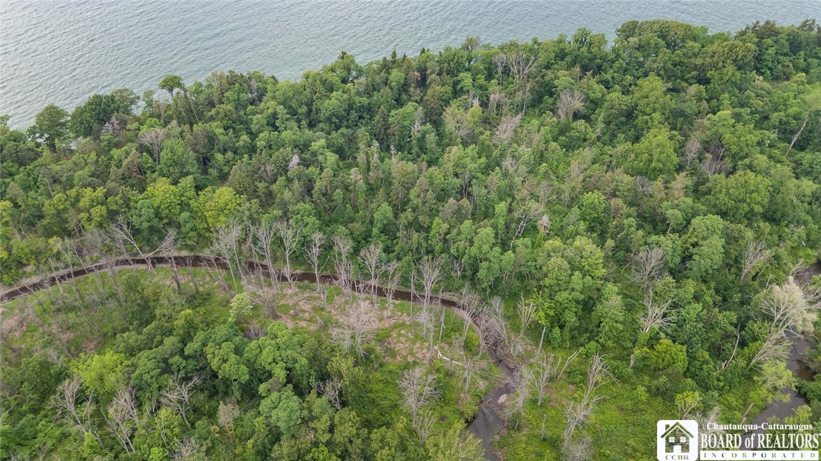 5 Route Sheridan Ny 14136 Dunkirk, NY 14048 - Photo 4 of 20