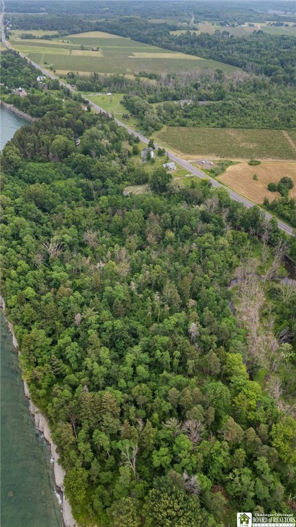 5 Route Sheridan Ny 14136 Dunkirk, NY 14048 - Photo 10 of 20