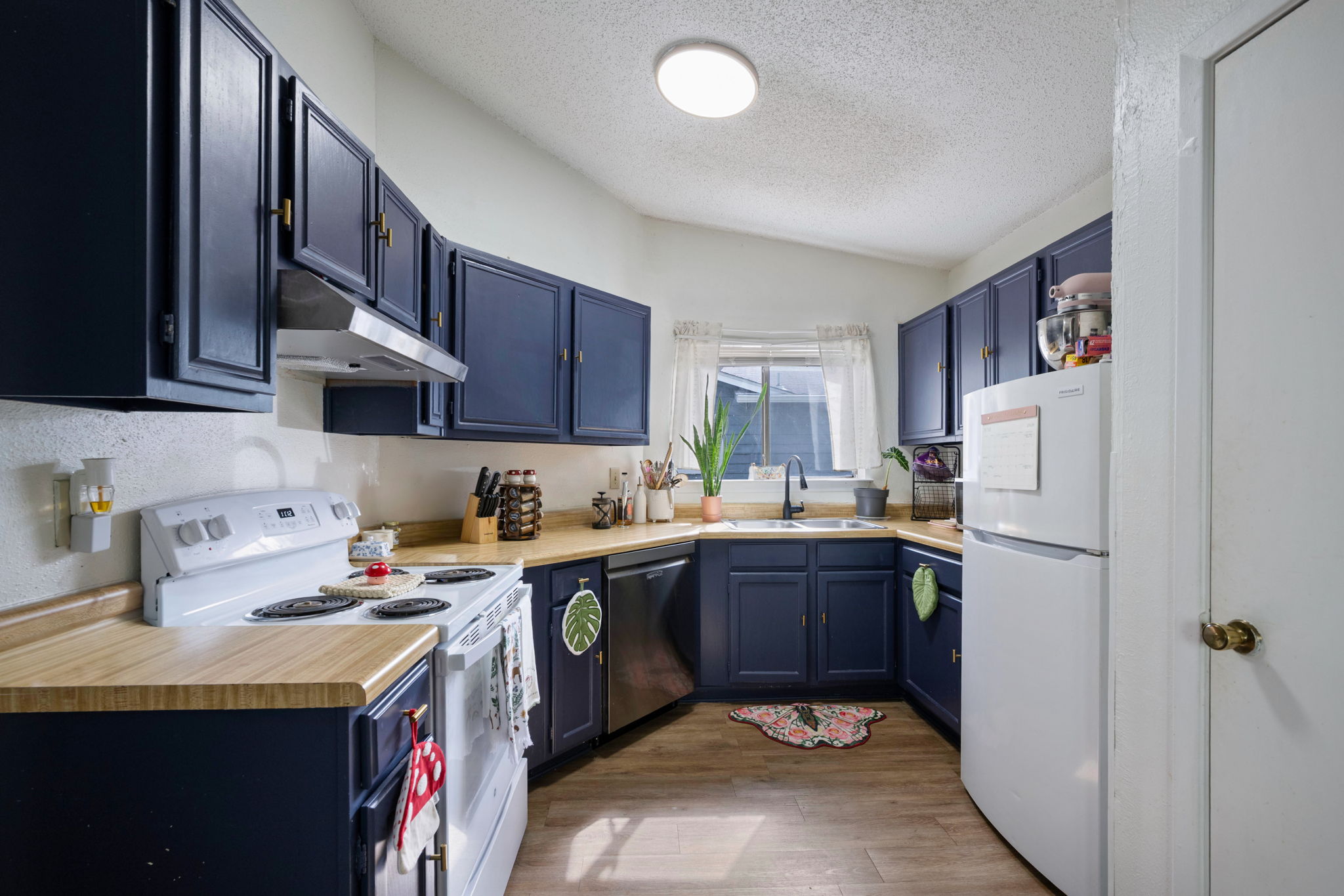 8317 Forest Ridge Drive San Antonio, TX 78239 - Photo 12 of 26 A well-lit kitchen with deep blue cabinetry offers a functional layout and ample workspace.