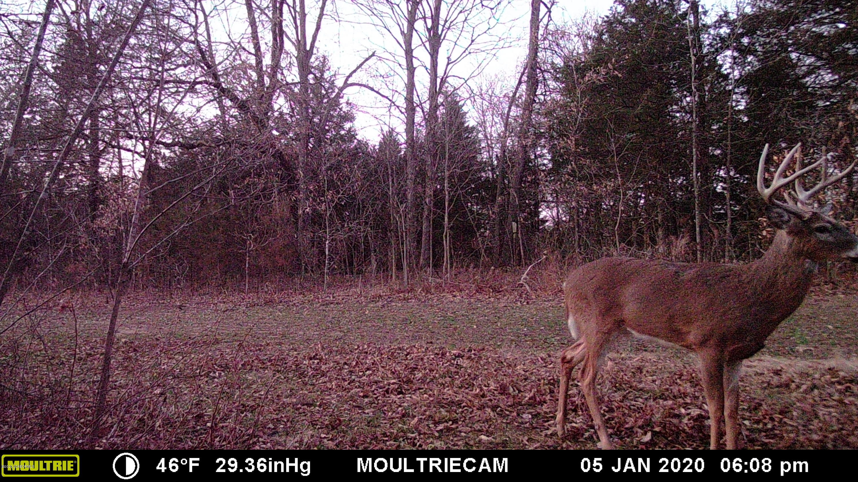 Tbd Paris Farm Road New Bloomfield, MO 65063 - Photo 5 of 9