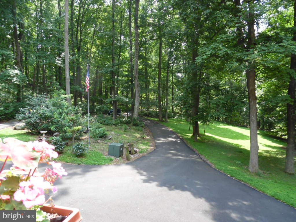 75 Marsden Heights Road Linden, VA 22642 - Photo 2 of 30 View from the front porch