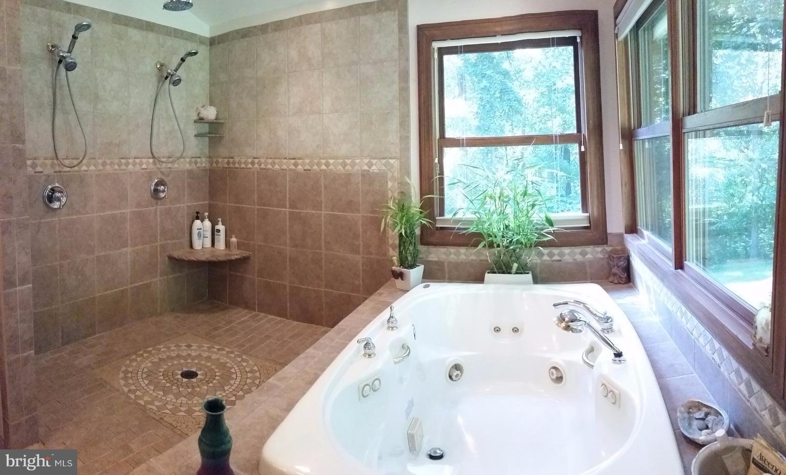 75 Marsden Heights Road Linden, VA 22642 - Photo 12 of 30 Luxury bathroom with dual heated floors.