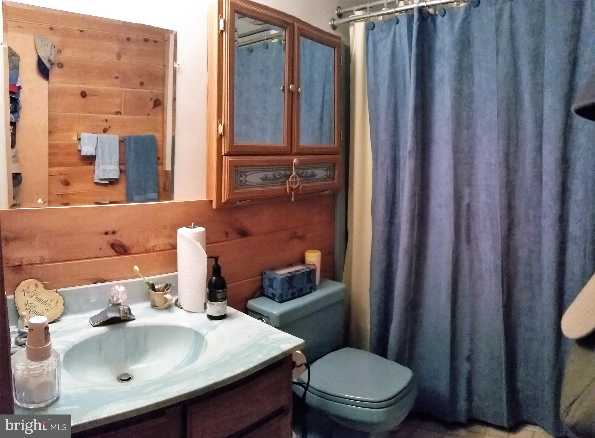 75 Marsden Heights Road Linden, VA 22642 - Photo 15 of 30 2nd master bedroom bath.