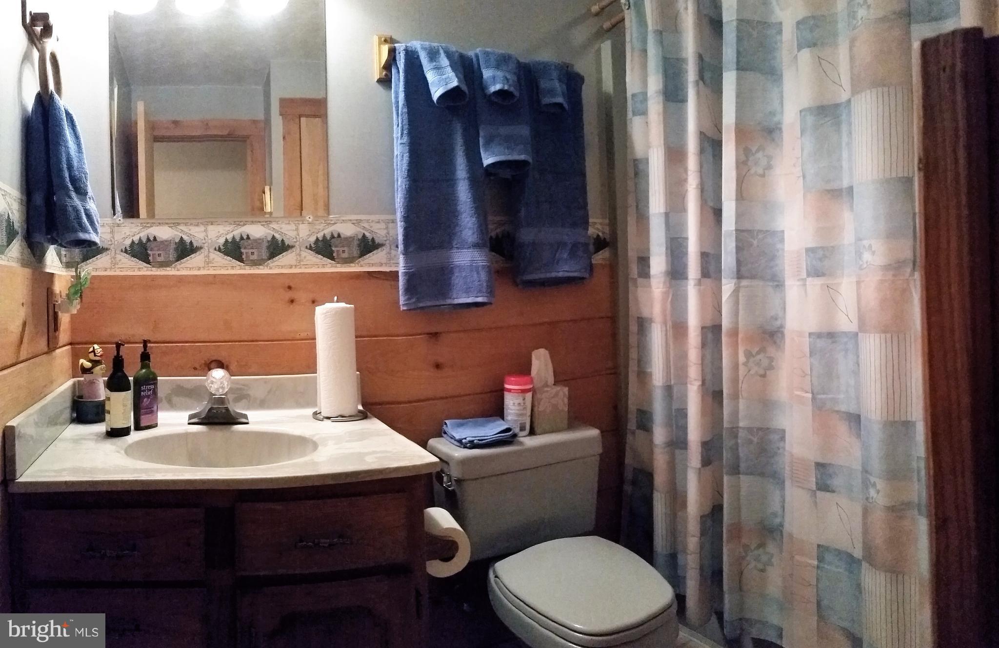 75 Marsden Heights Road Linden, VA 22642 - Photo 17 of 30 Hall Bath