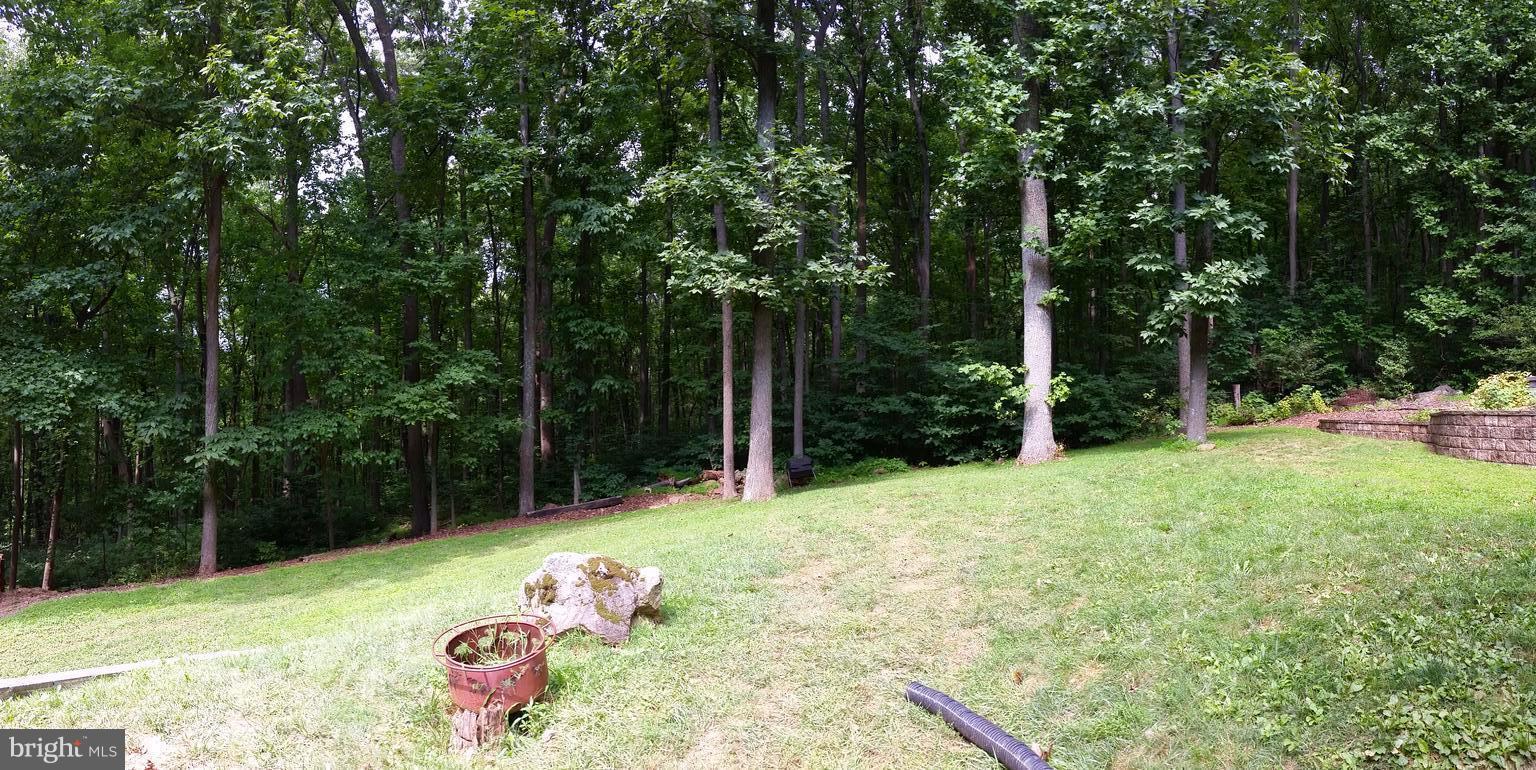 75 Marsden Heights Road Linden, VA 22642 - Photo 24 of 30 Backyard