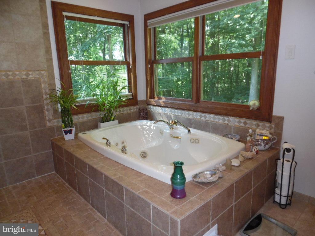 75 Marsden Heights Road Linden, VA 22642 - Photo 10 of 30 Jetted tub