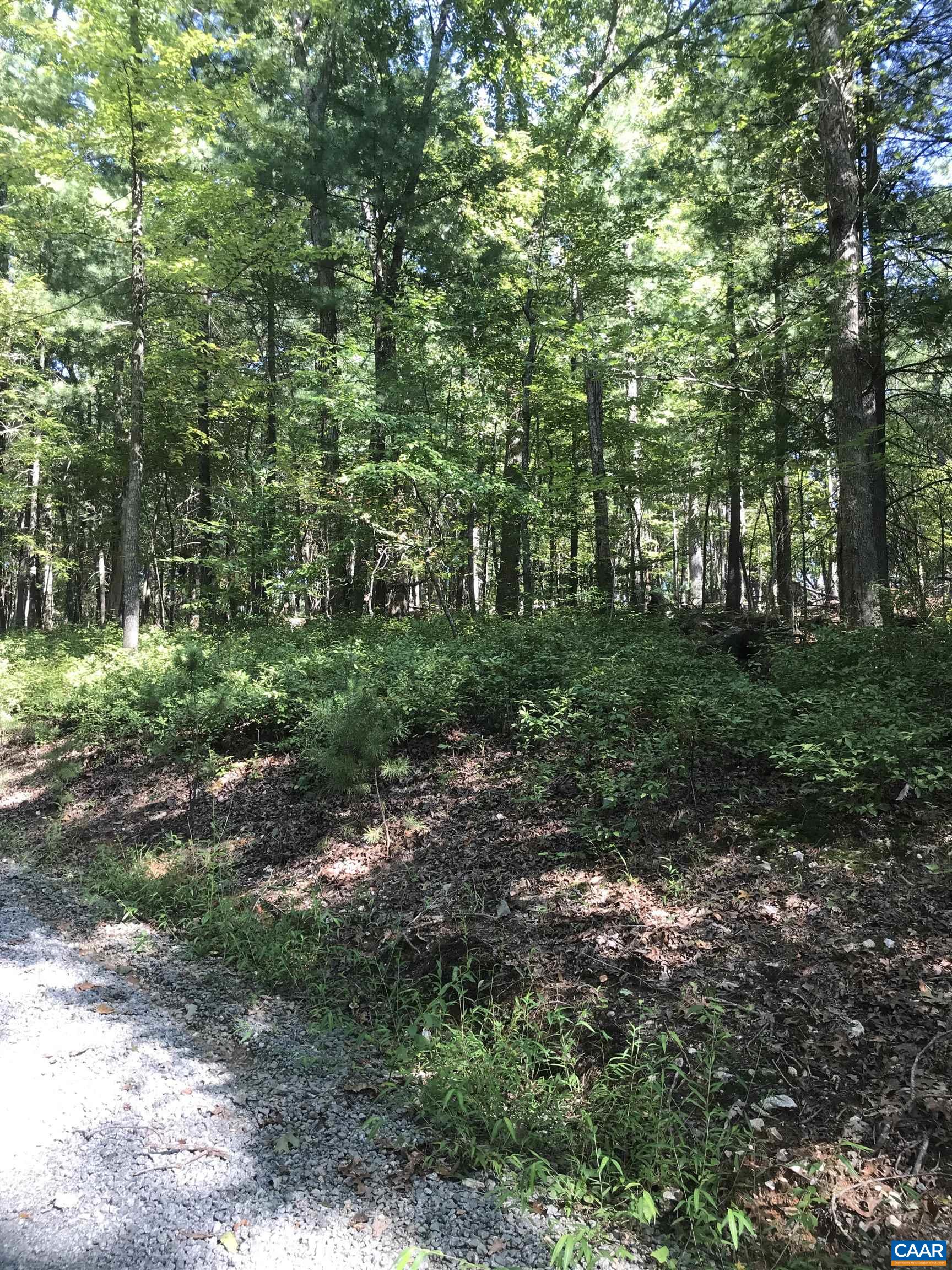 Tbd Free Union Road Charlottesville, VA 22901 - Photo 4 of 12 a big yard with lots of green space and deers