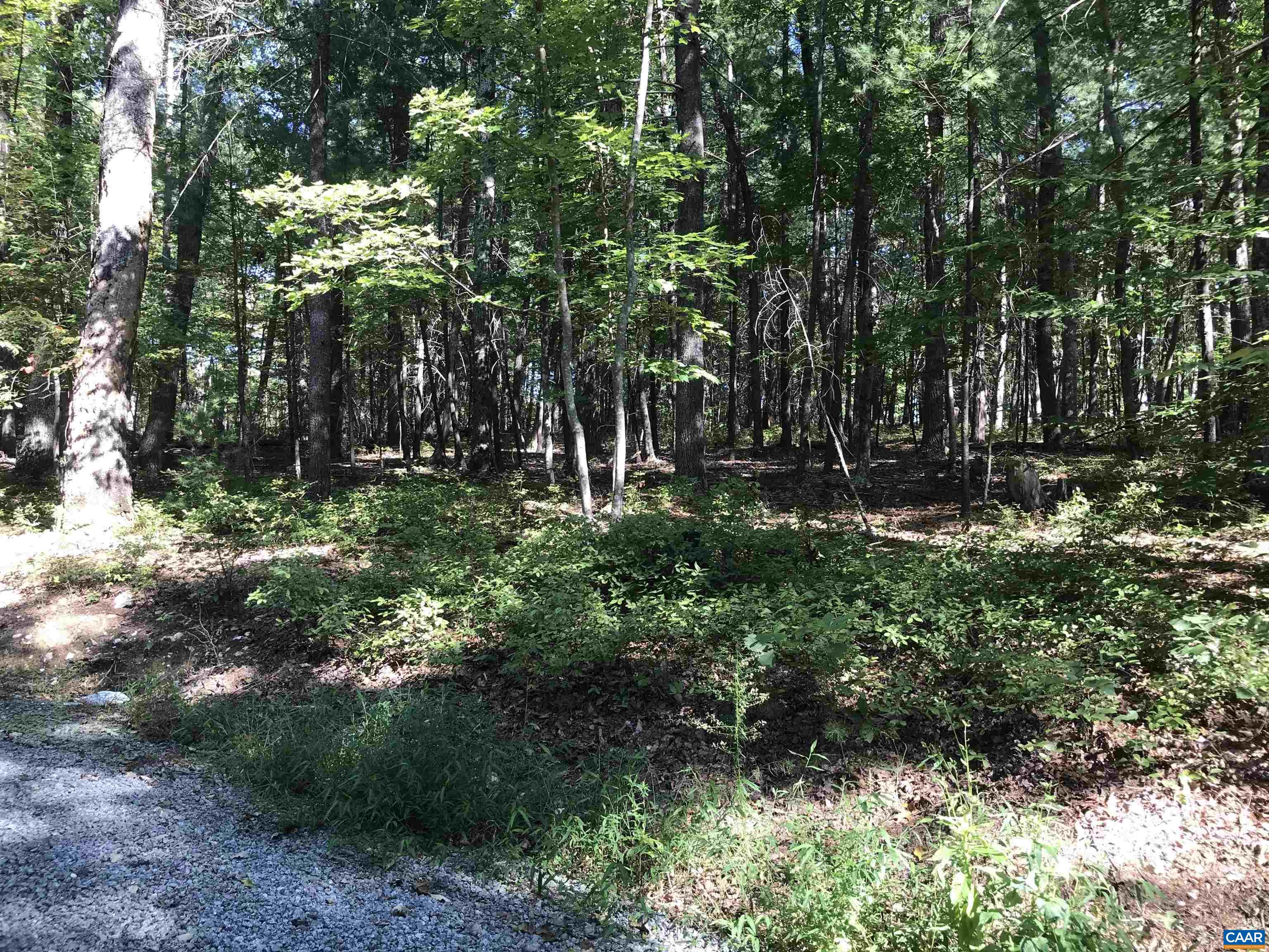 Tbd Free Union Road Charlottesville, VA 22901 - Photo 5 of 12 a big yard with lots of green space and deers