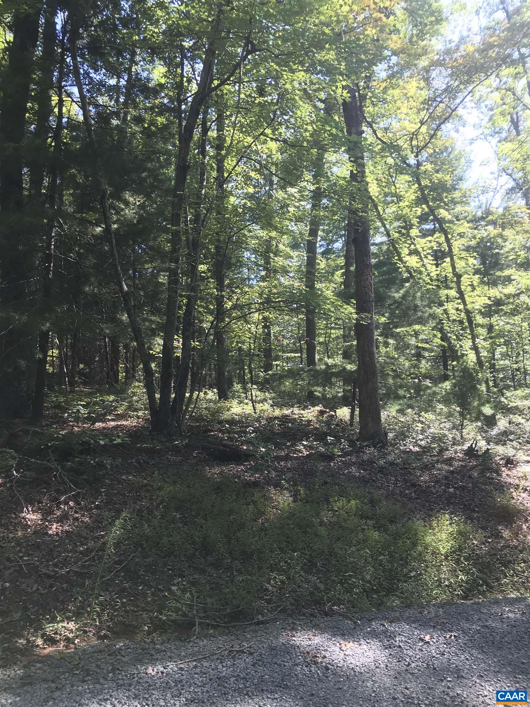 Tbd Free Union Road Charlottesville, VA 22901 - Photo 7 of 12 a view of a forest with trees