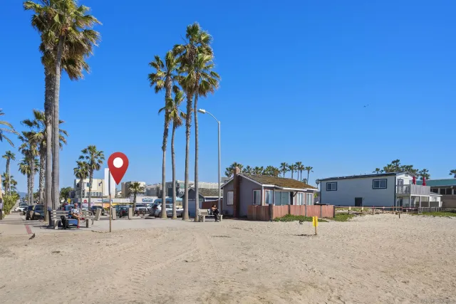 a view of a palm tree with building in the background