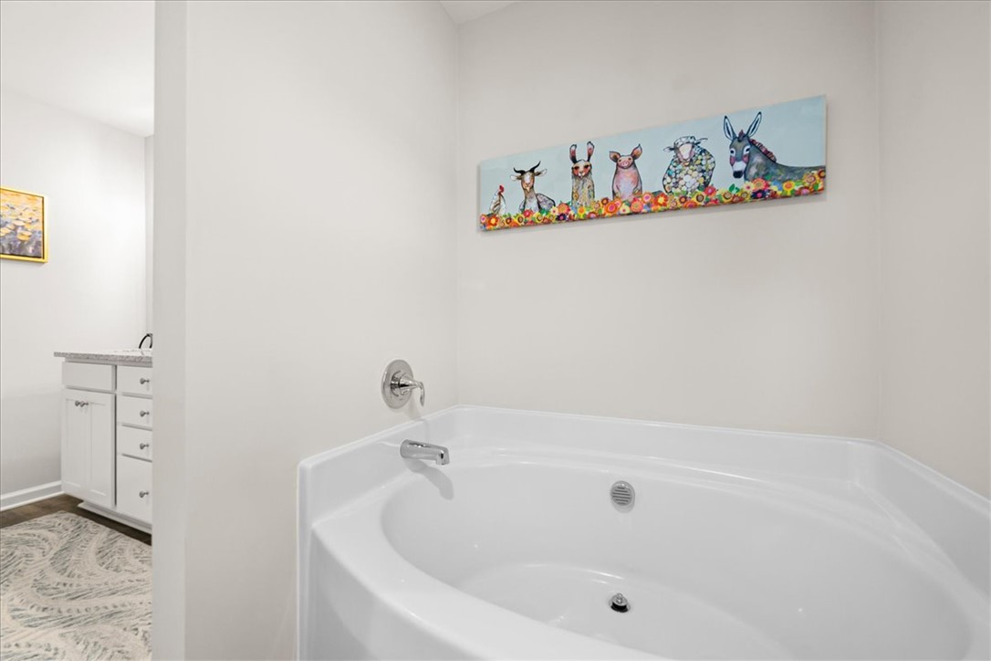 216 Carvel Trail Seneca, SC 29678 - Photo 29 of 46 Relax in this tranquil space featuring a luxurious soaking tub for ultimate comfort and rejuvenation.