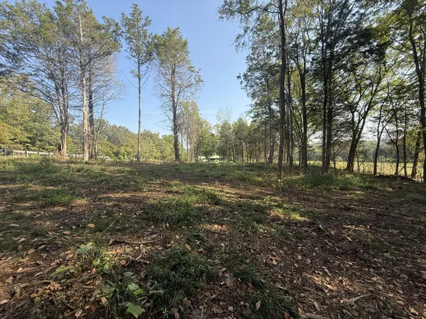 $42,500 | 0 Waynesboro Highway, Waynesboro, TN 38485