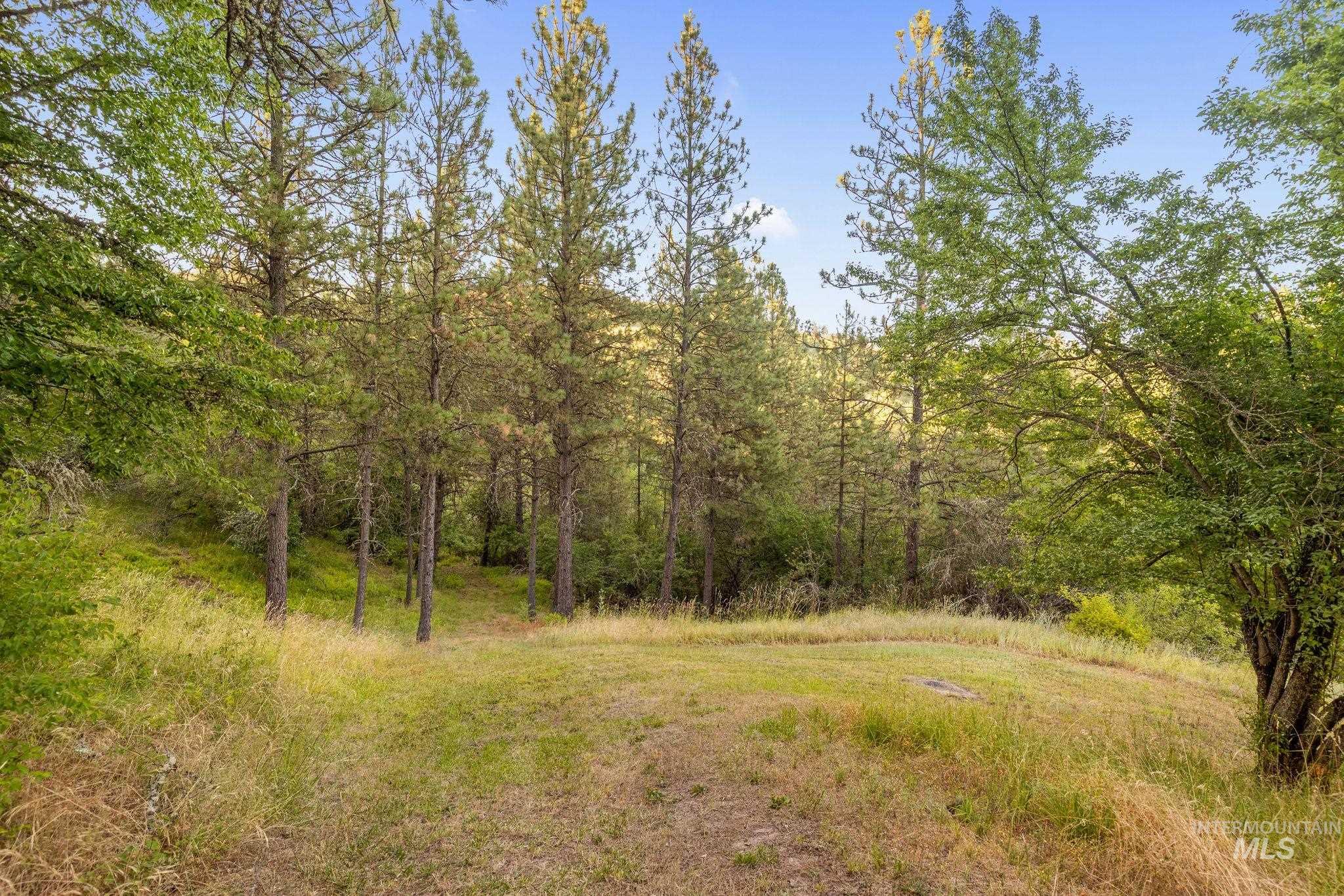 435 River Pointe Lane Lenore, ID 83541 - Photo 46 of 50 Expansive natural landscape featuring a clearing surrounded by mature evergreen and deciduous trees