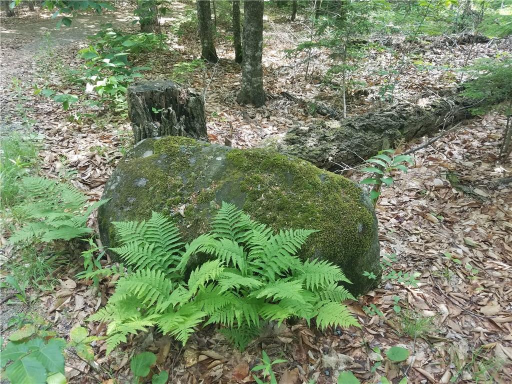 7 Pines Road Searsmont, ME 04973 - Photo 15 of 25 Sometimes especially pretty rocks...