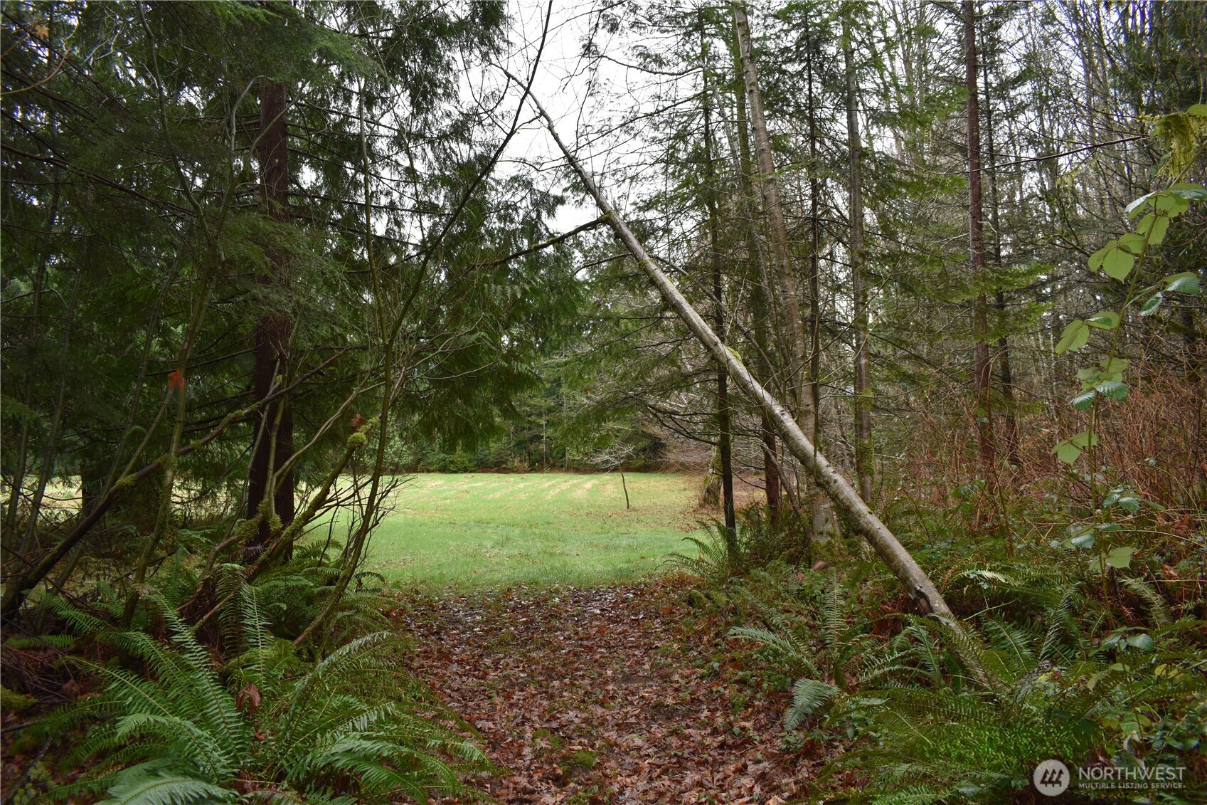 15327 May Creek Road Gold Bar, WA 98251 - Photo 19 of 35 a backyard of a house with lots of green space