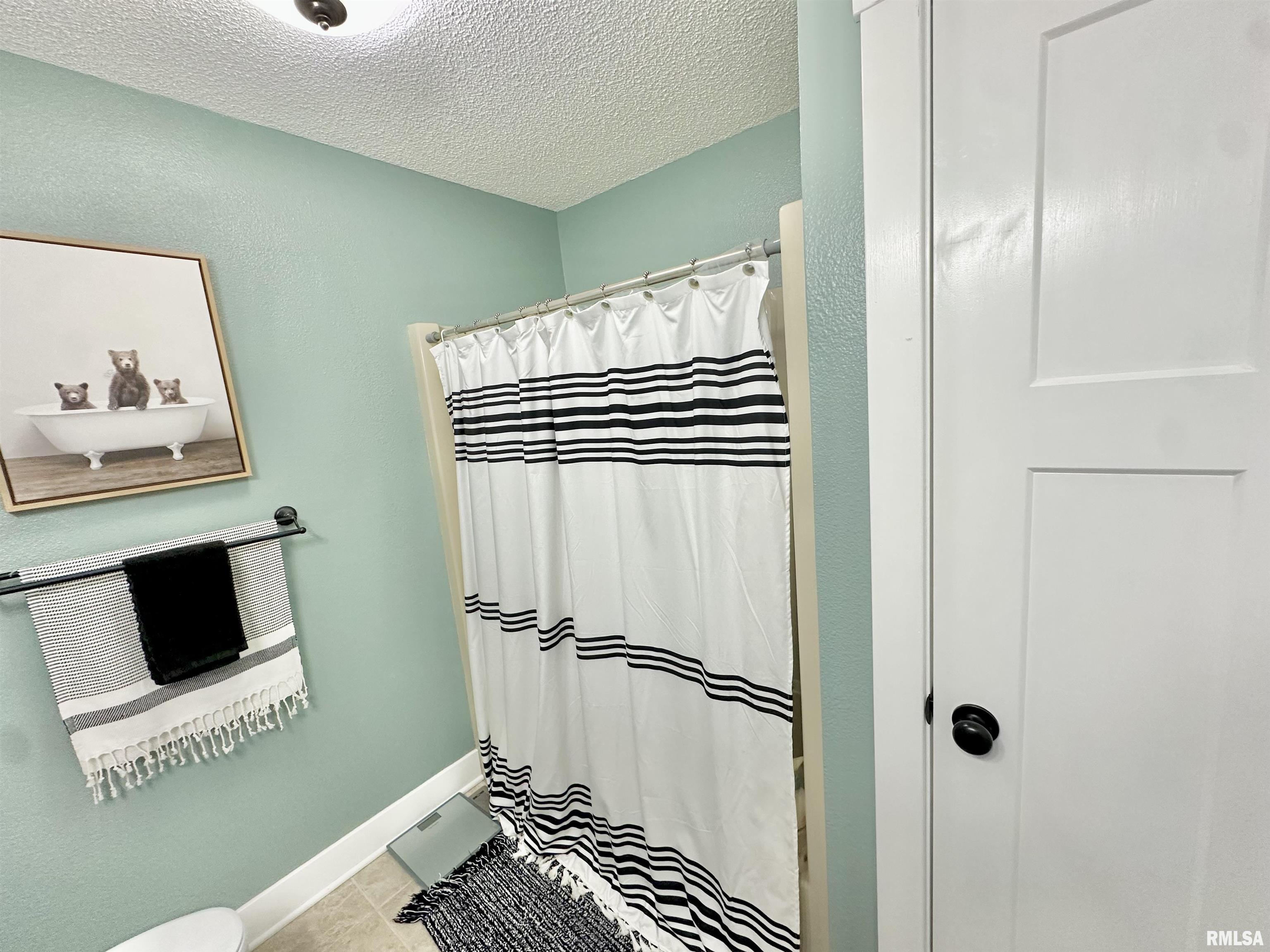 105 Sunshine Drive Rio, IL 61472 - Photo 33 of 71 Gallery Image 33