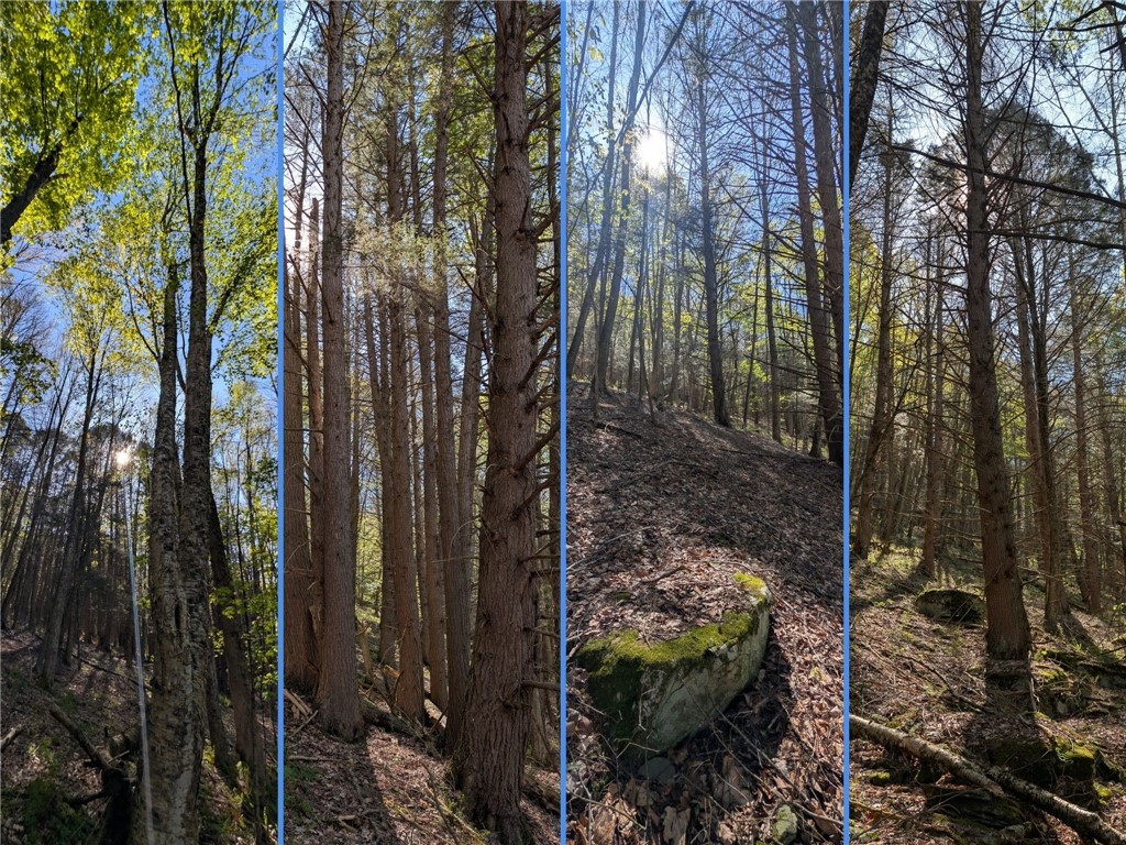 Lot 5 East River Road Andes, NY 13731 - Photo 26 of 39
