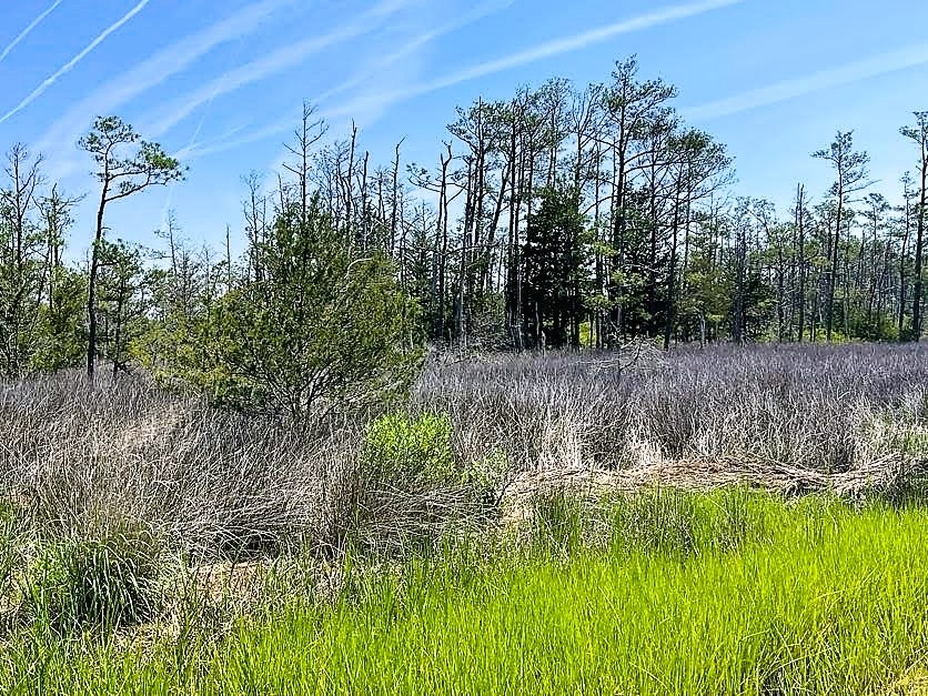 Lot 149 Guards Shore Road, Unit 149A Bloxom, VA 23308 - Photo 2 of 5