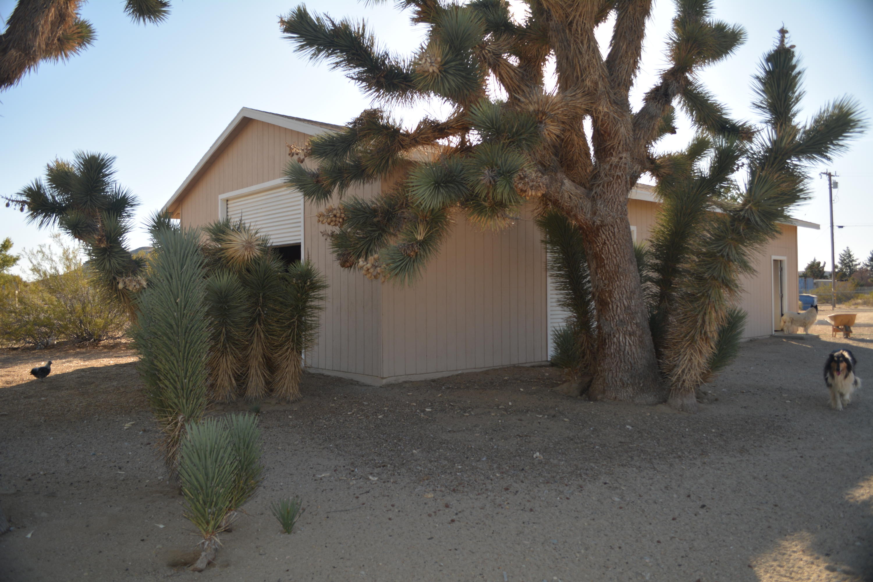 4780 Montiverde Road Mojave, CA 93501 - Photo 11 of 52 a view of a house with a tree