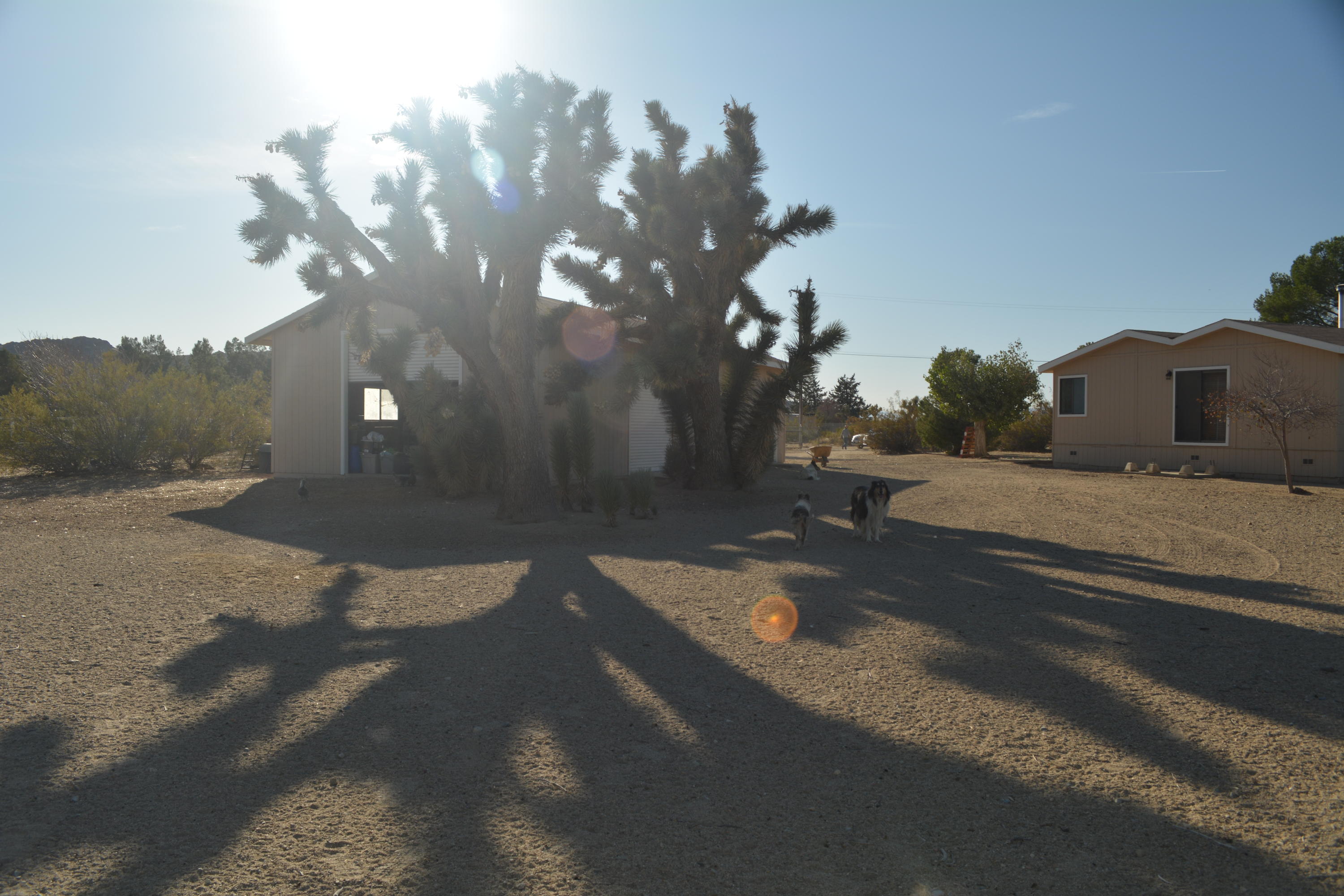 4780 Montiverde Road Mojave, CA 93501 - Photo 25 of 52 a view of a street with a yard