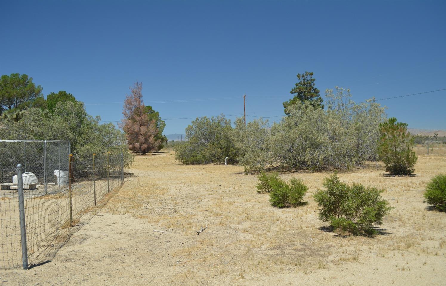 4780 Montiverde Road Mojave, CA 93501 - Photo 30 of 52 a view of a yard with a tree