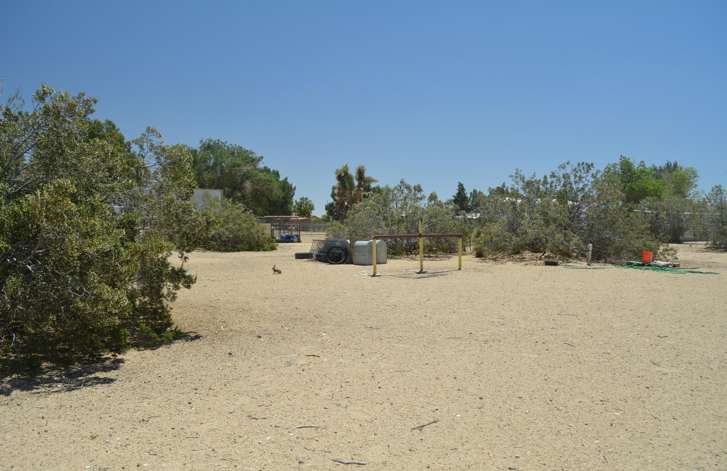 4780 Montiverde Road Mojave, CA 93501 - Photo 38 of 52 a view of a dry yard with trees