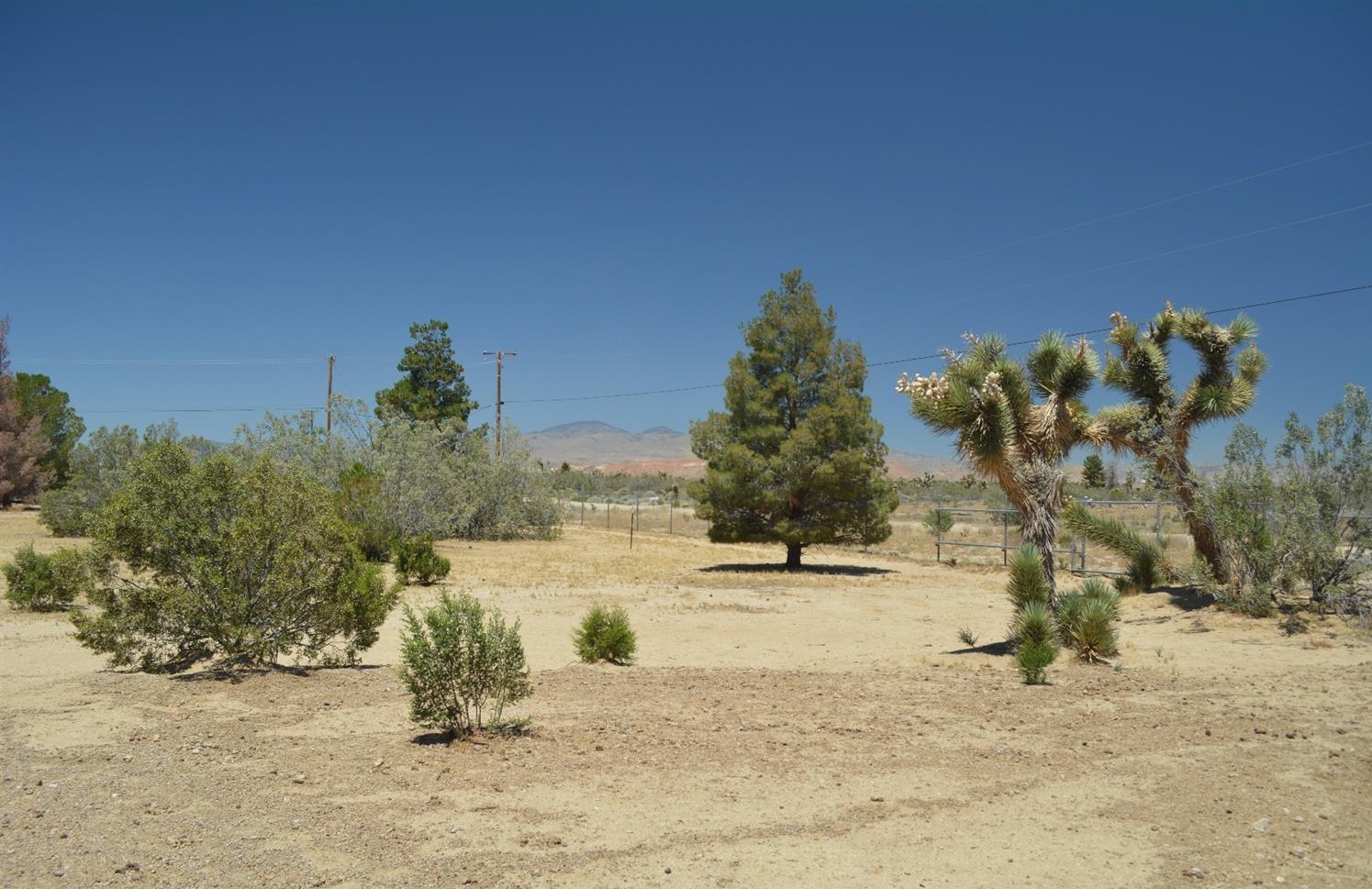 4780 Montiverde Road Mojave, CA 93501 - Photo 39 of 52 a view of a yard with a tree