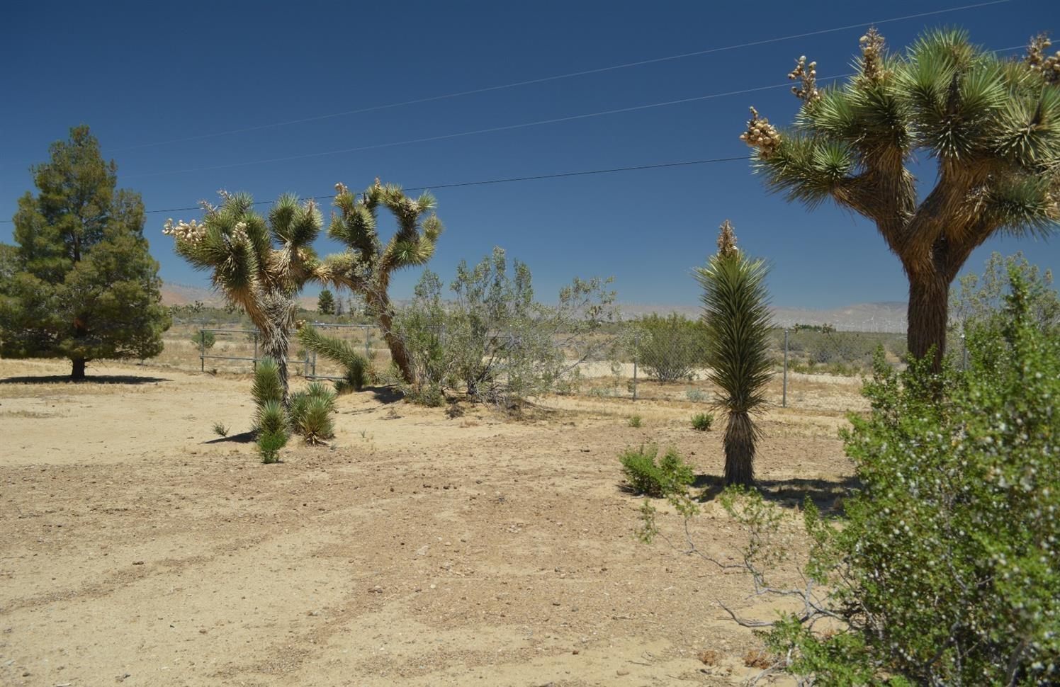 4780 Montiverde Road Mojave, CA 93501 - Photo 41 of 52 a view of a yard with a tree