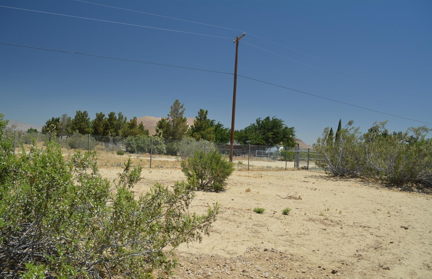 4780 Montiverde Road Mojave, CA 93501 - Photo 43 of 52 a view of a yard with trees