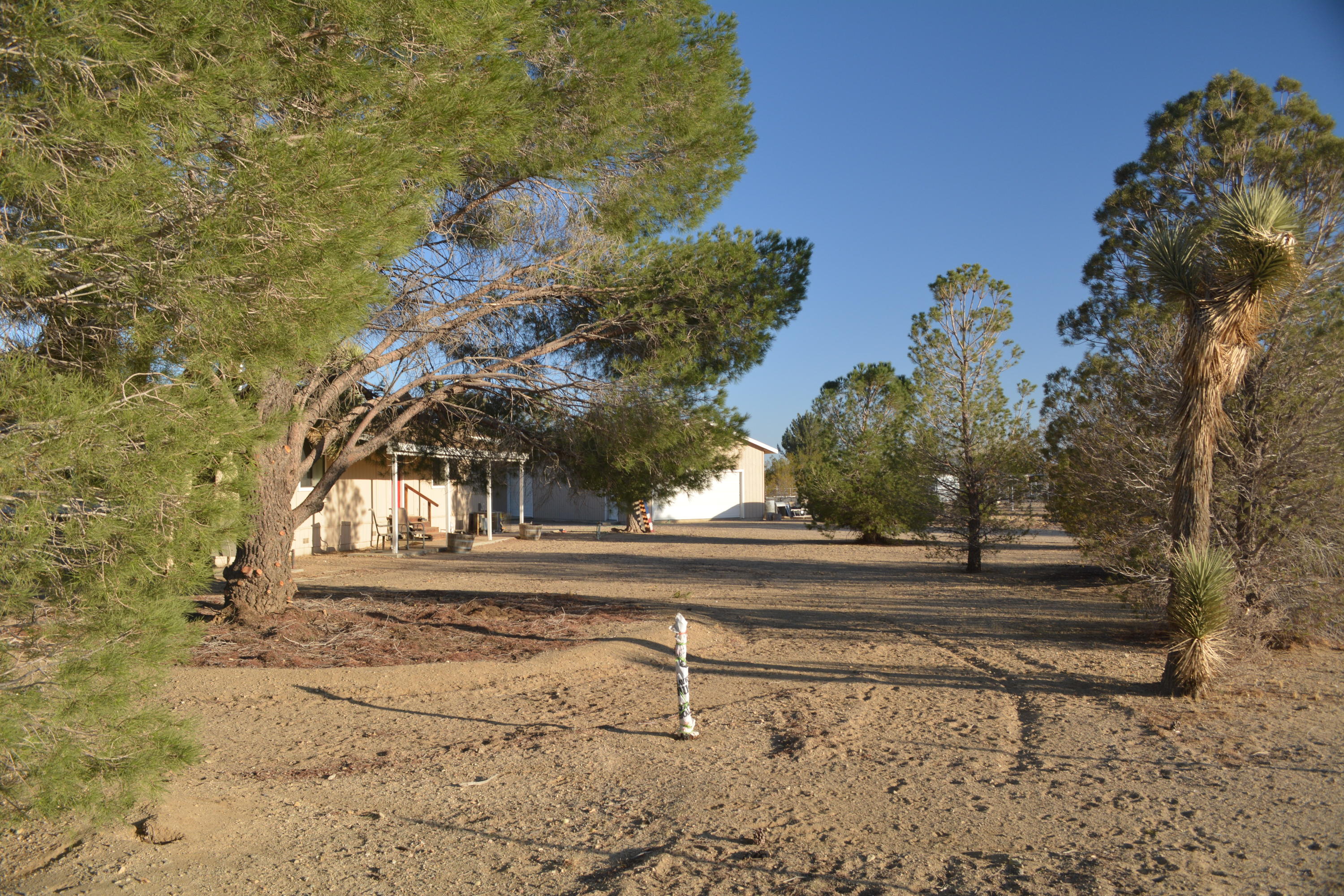 4780 Montiverde Road Mojave, CA 93501 - Photo 48 of 52 a backyard of a house with lots of green space