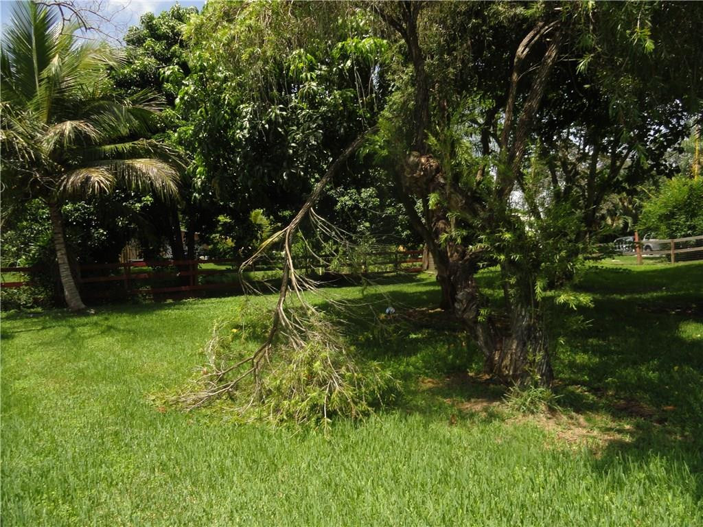 17950 Southwest 55th Street Southwest Ranches, FL 33331 - Photo 27 of 31 a view of a backyard