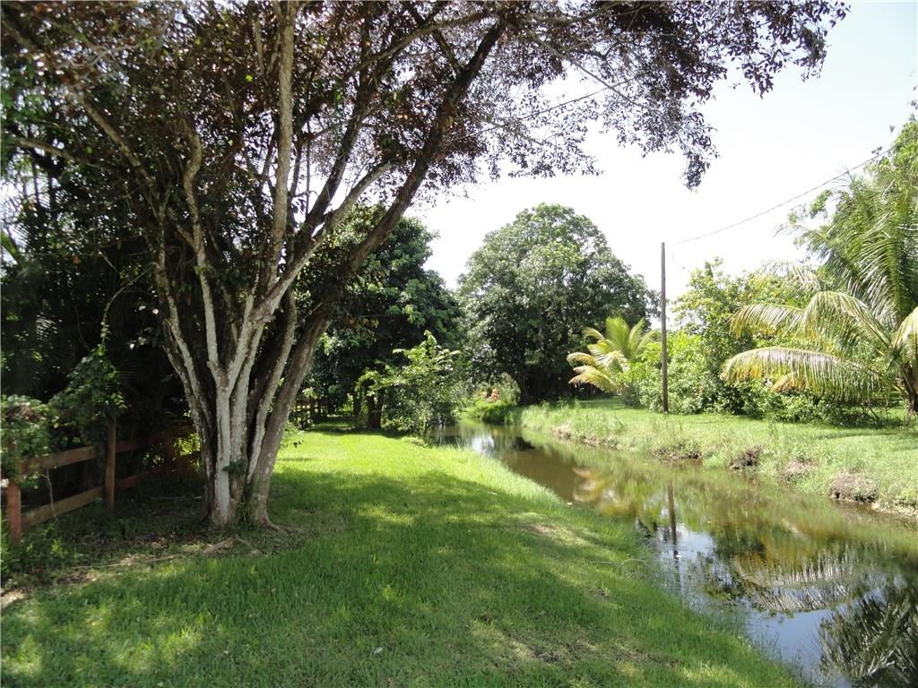 17950 Southwest 55th Street Southwest Ranches, FL 33331 - Photo 28 of 31 a view of backyard with green space