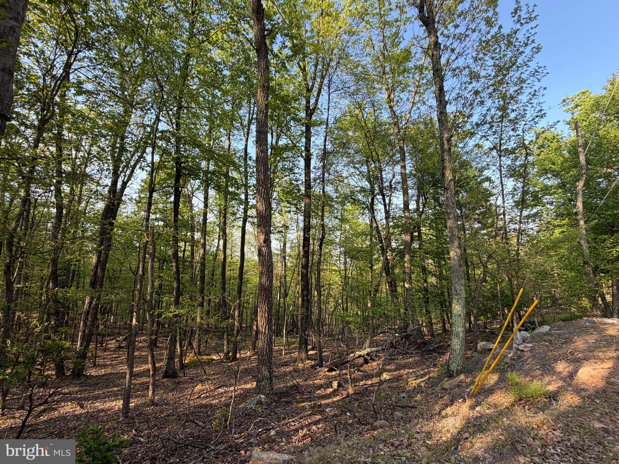 136 Spring Mountain Drive Zion Grove, PA 17985 - Photo 4 of 20