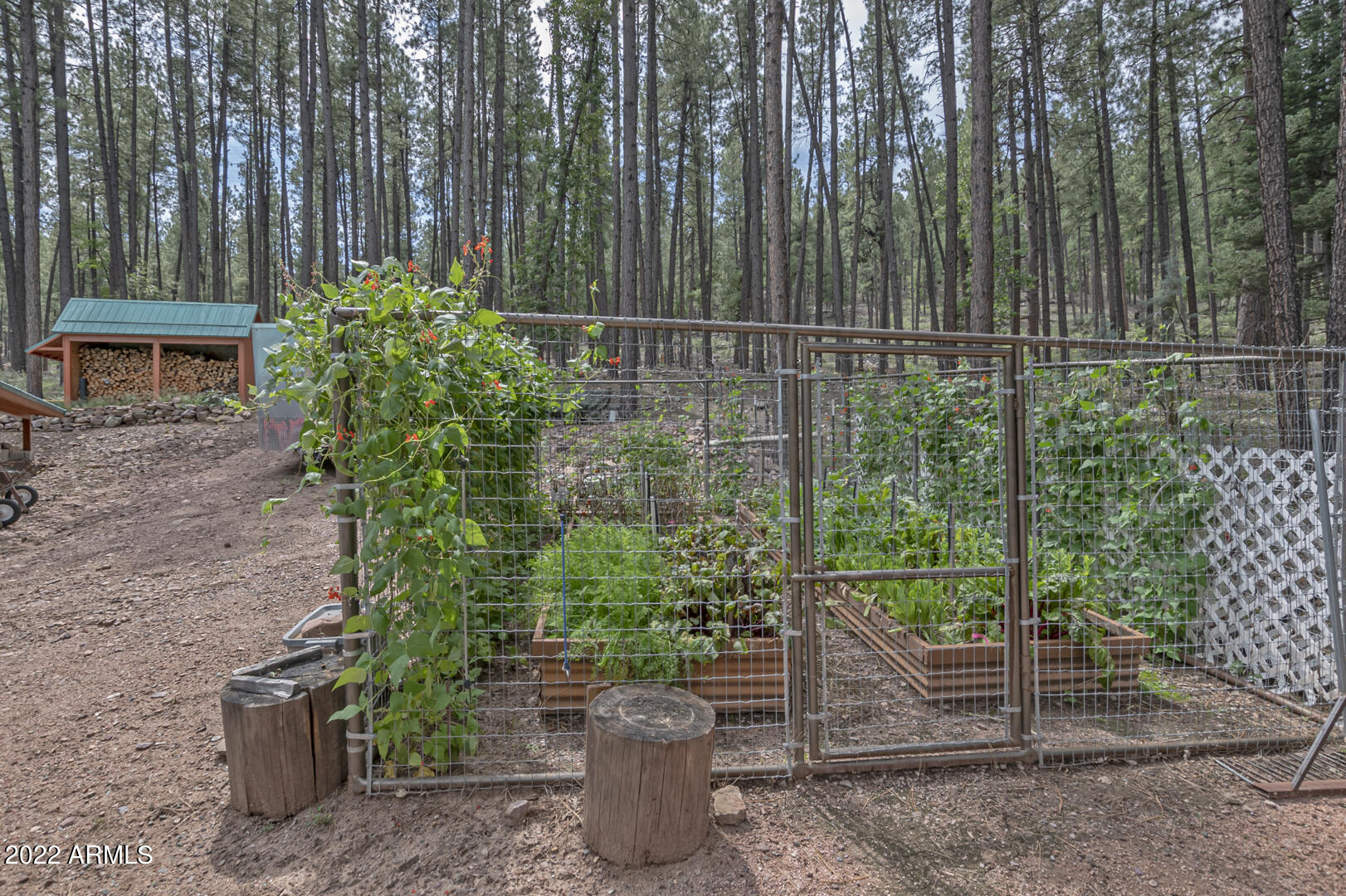 699 Memory Lane Payson, AZ 85541 - Photo 32 of 80 IMG_63