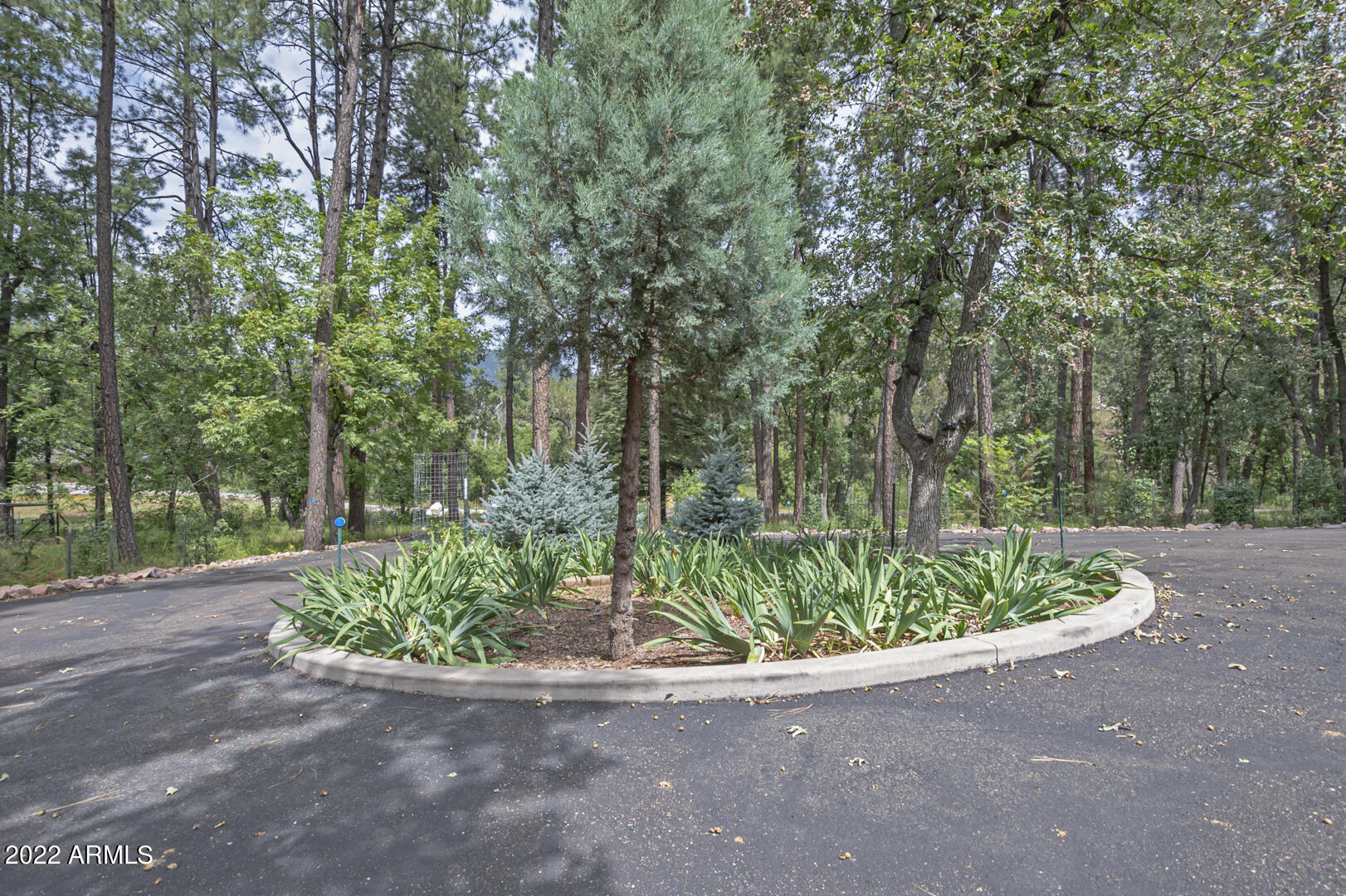 699 Memory Lane Payson, AZ 85541 - Photo 59 of 80 IMG_56