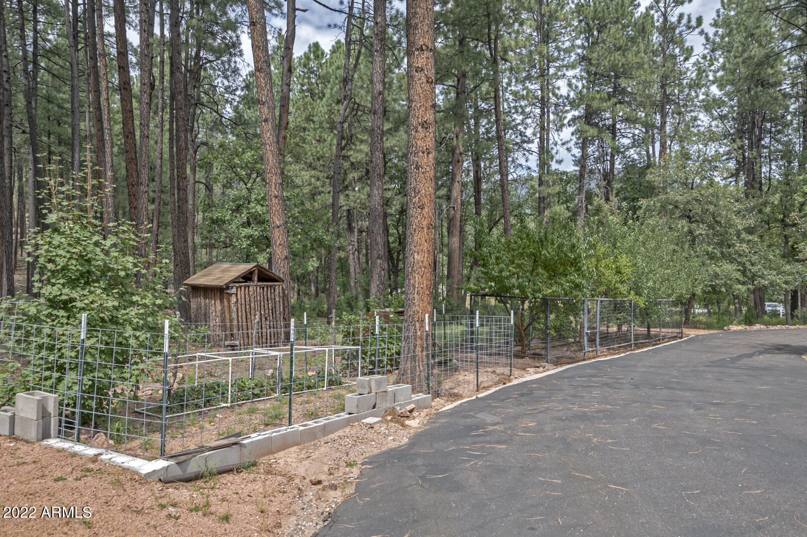 699 Memory Lane Payson, AZ 85541 - Photo 64 of 80 IMG_64