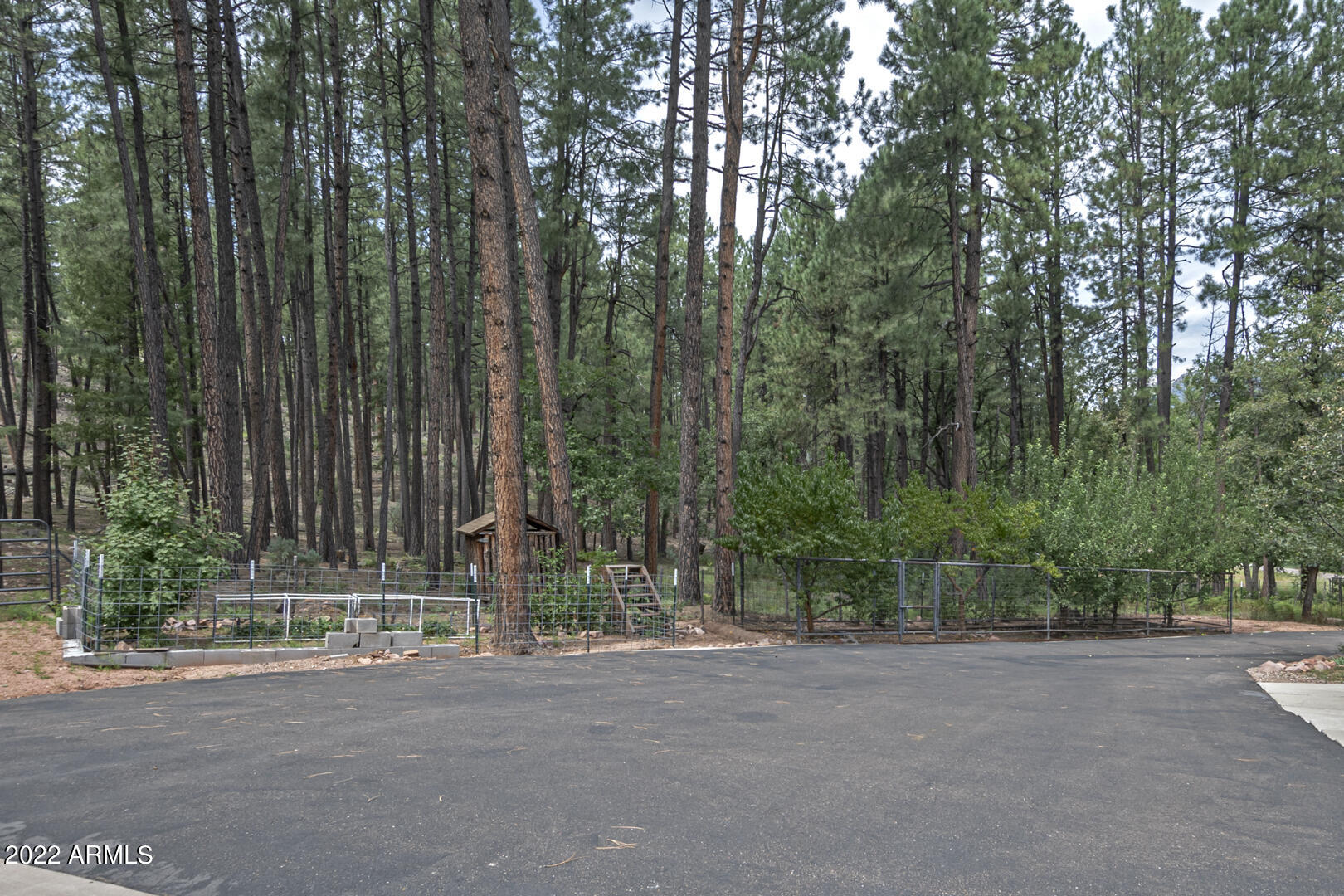 699 Memory Lane Payson, AZ 85541 - Photo 75 of 80 IMG_81