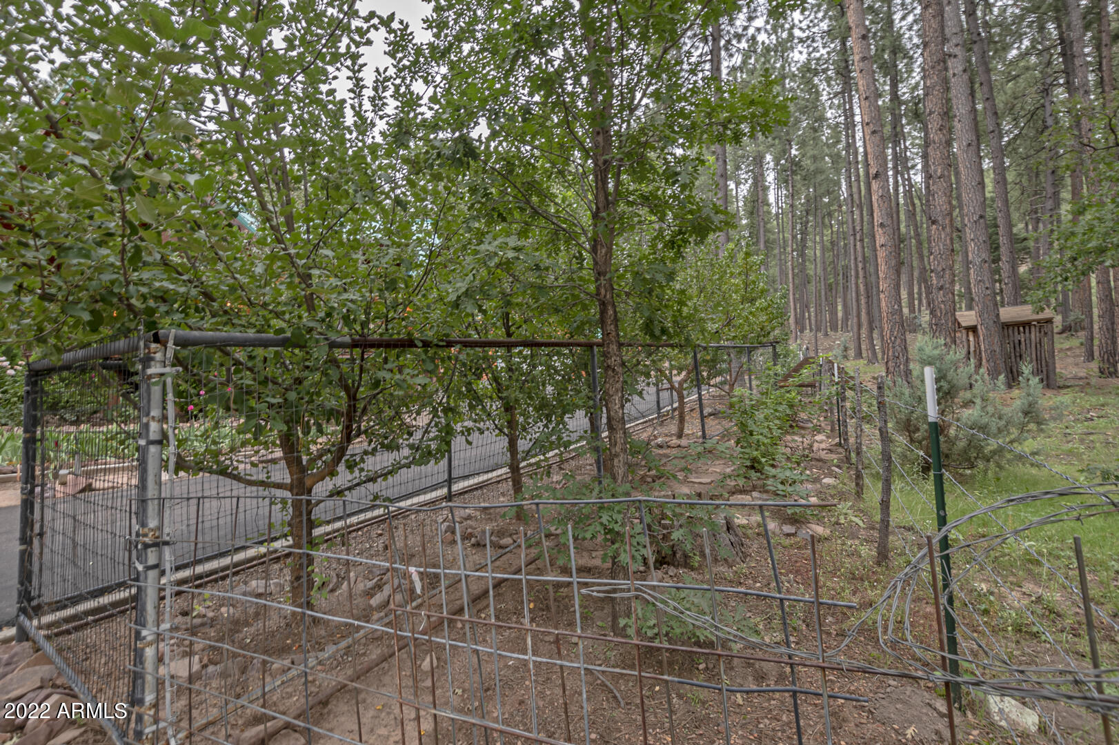 699 Memory Lane Payson, AZ 85541 - Photo 77 of 80 IMG_85