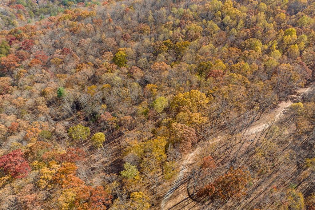 19 R Settlement Trail Ellijay, GA 30536 - Photo 11 of 32