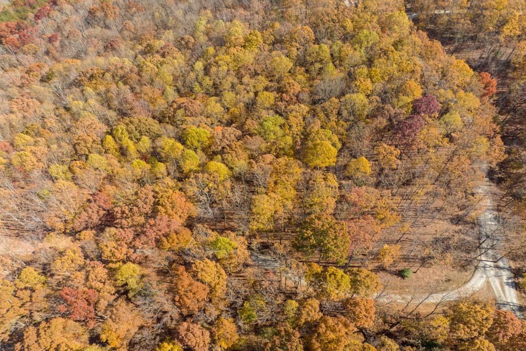 19 R Settlement Trail Ellijay, GA 30536 - Photo 19 of 32