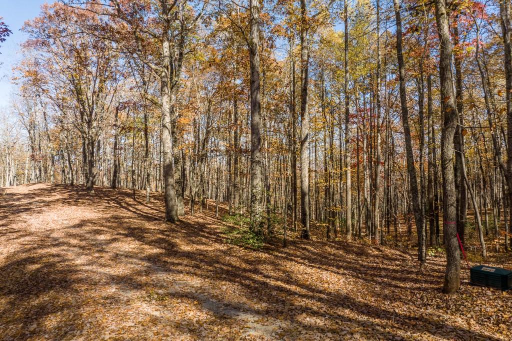 19 R Settlement Trail Ellijay, GA 30536 - Photo 5 of 32