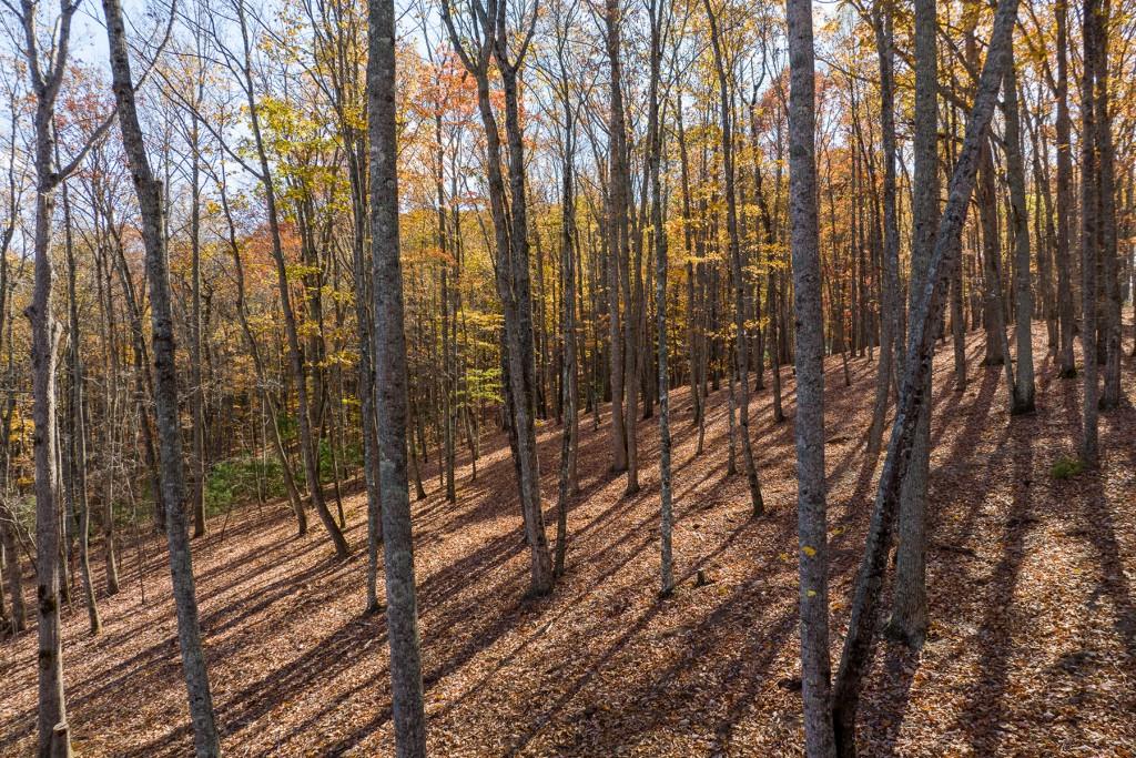 19 R Settlement Trail Ellijay, GA 30536 - Photo 10 of 32