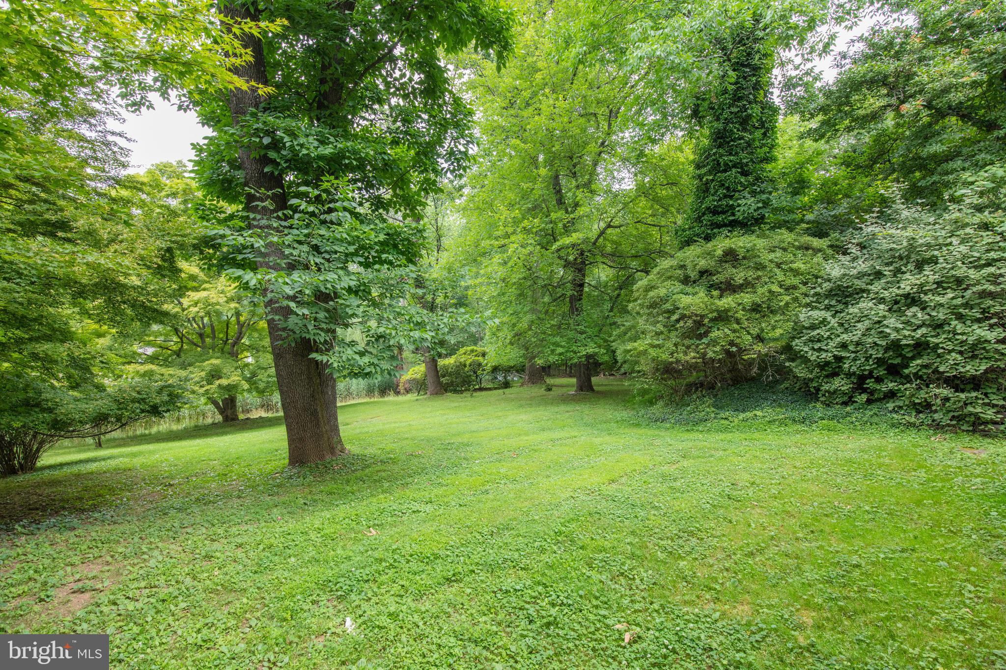 19 7 Springs Road Wayne, PA 19087 - Photo 50 of 52 Back yard