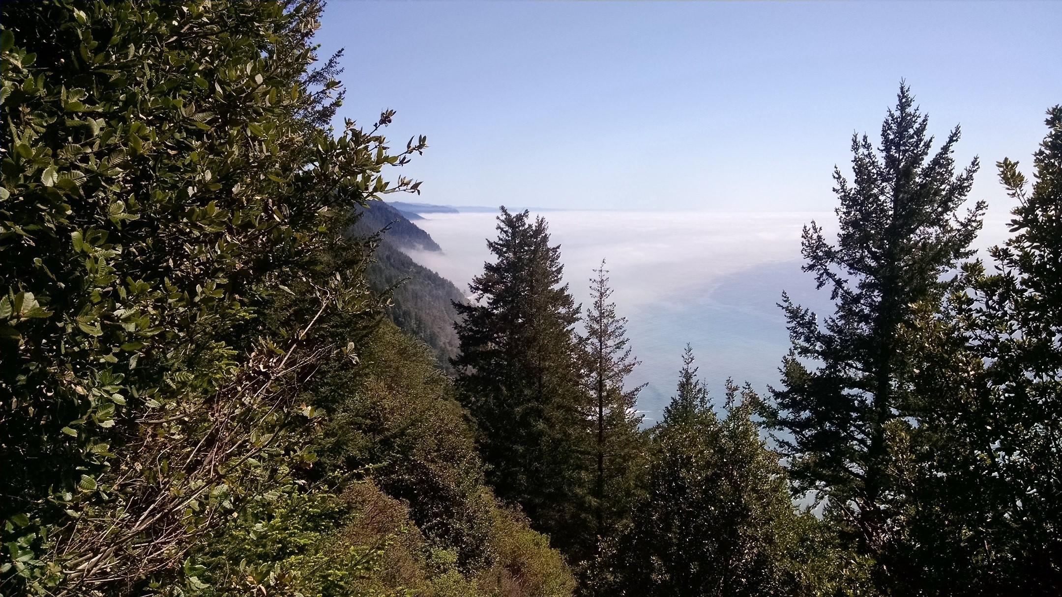10 Gale Point Whitethorn, CA 95589 - Photo 6 of 20 Above the fog line, warm southwester sun