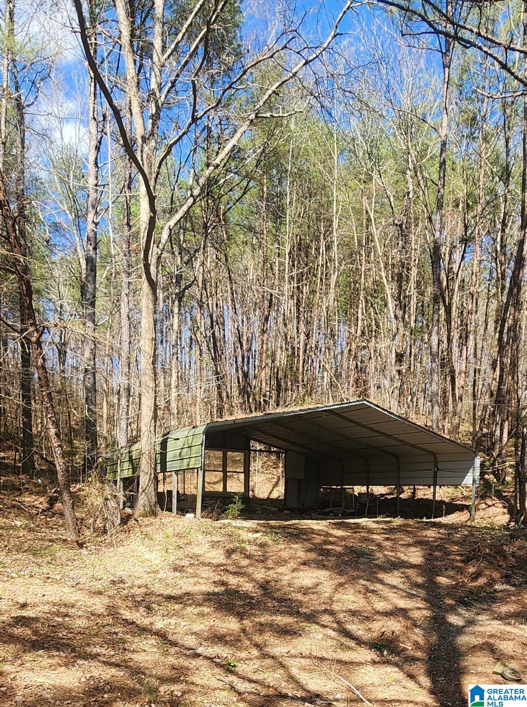 8383 Groundhog Road Adger, AL 35006 - Photo 43 of 59
