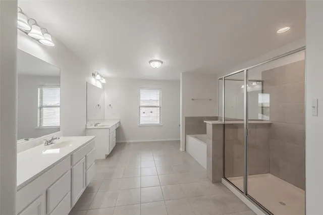 a bathroom with a shower a sink and a mirror