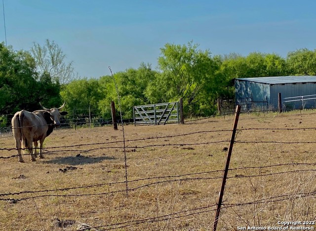13220 Highway 1604 Loop San Antonio, TX 78263 - Photo 25 of 49 a view of a yard