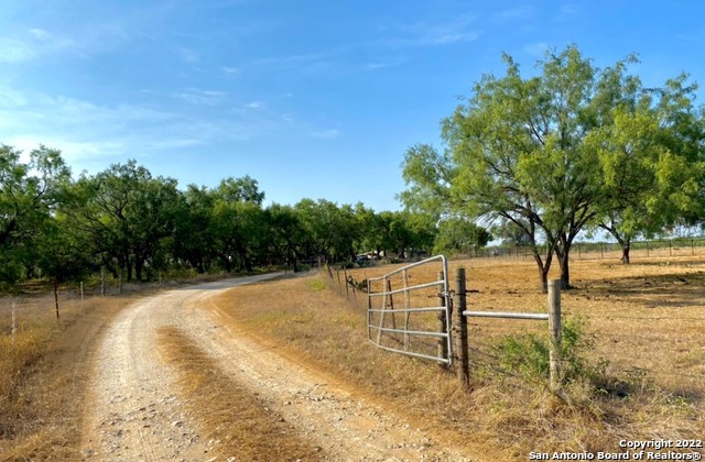 13220 Highway 1604 Loop San Antonio, TX 78263 - Photo 3 of 49 a view of a yard with wooden fence