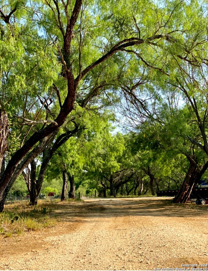 13220 Highway 1604 Loop San Antonio, TX 78263 - Photo 33 of 49 a view of a yard with a tree
