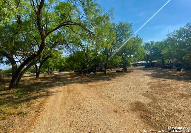 13220 Highway 1604 Loop San Antonio, TX 78263 - Photo 34 of 49 a view of backyard with large trees